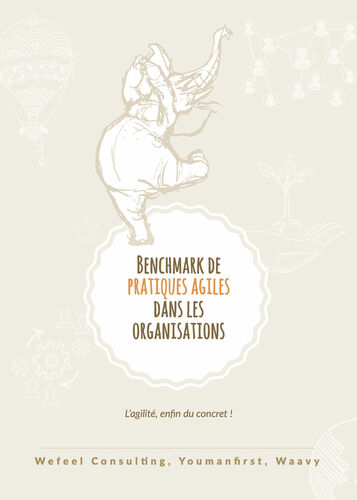 Benchmark de pratiques agiles dans les organisations