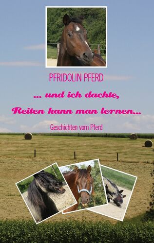 ... und ich dachte, Reiten kann man lernen...