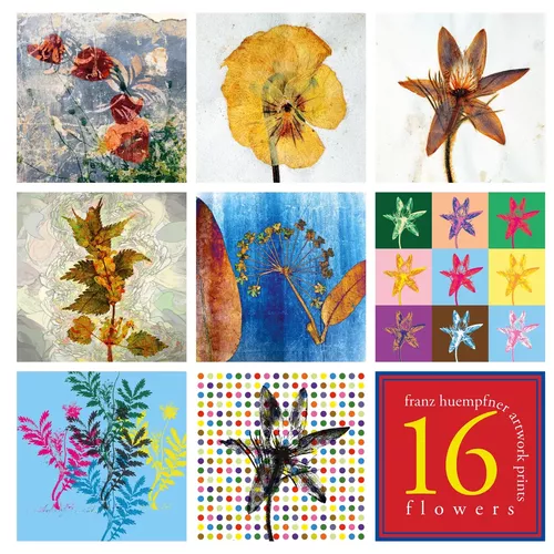 16 Artworks - Flowers