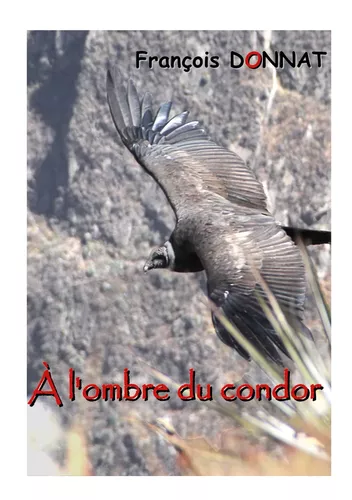 À l'ombre du condor