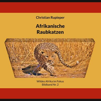 Afrikanische Raubkatzen