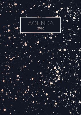 Agenda 2020 Planificateur Organiseur Et Calendrier 2020