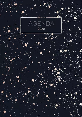 Agenda 2020 - Planificateur, Organiseur et Calendrier 2020 - Agenda Journalier et Agenda Semainier - Agenda de Poche
