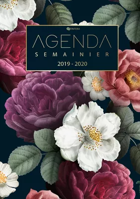 Agenda Semainier 2019 2020 - Agenda de Poche et Calendrier Août 2019 à Décembre 2020 Agenda Journalier