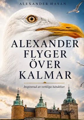 Alexander flyger över Kalmar