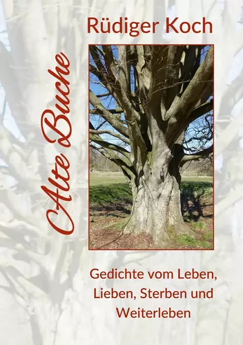 Alte Buche