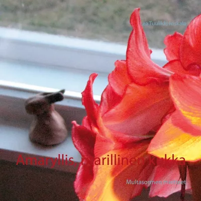 Amaryllis, ritarillinen kukka