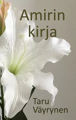 Amirin kirja