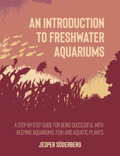 An Introduction to Freshwater Aquariums