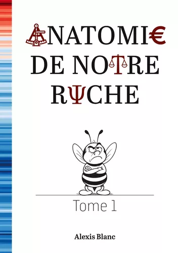 Anatomie de notre ruche