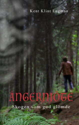 Ångernjöte