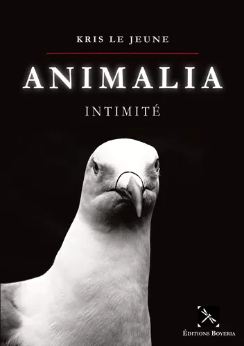 Animalia - Intimité