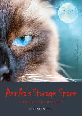 Annika's Storage Space