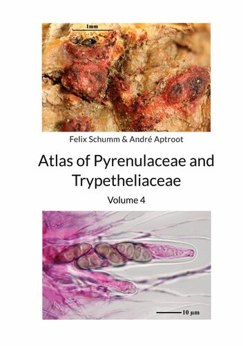 Atlas of Pyrenulaceae and Trypetheliaceae Vol 4