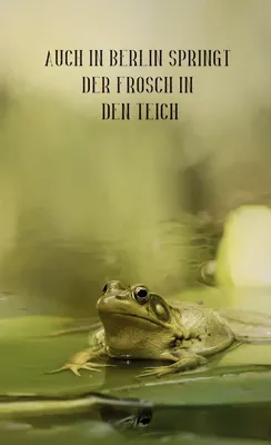 Auch in Berlin springt der Frosch in den Teich