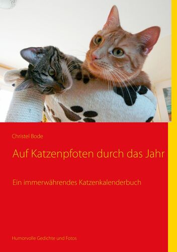 Auf Katzenpfoten durch das Jahr