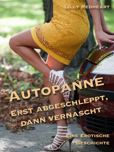 Autopanne - Erst abgeschleppt, dann vernascht