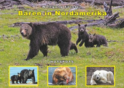 Bären in Nordamerika