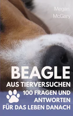 Beagle aus Tierversuchen
