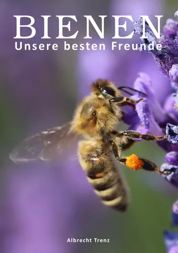 Bienen - Unsere besten Freunde