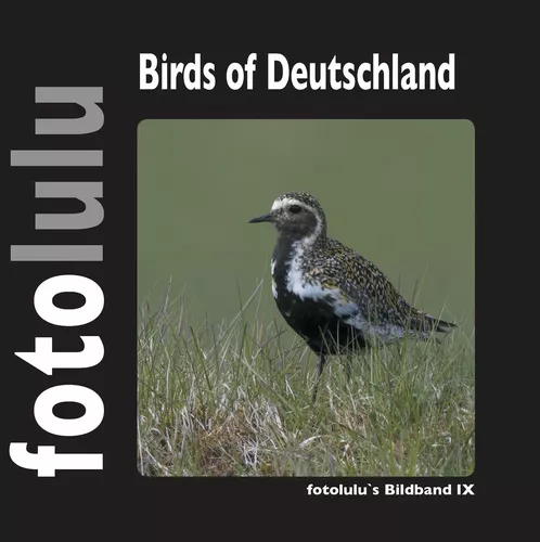 Birds of Deutschland