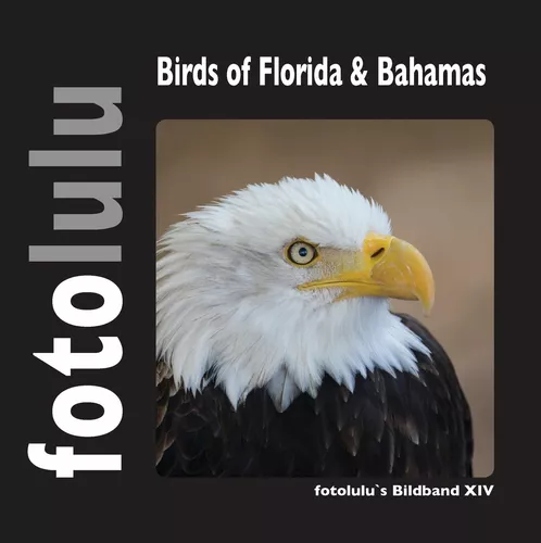 Birds of Florida & Bahamas