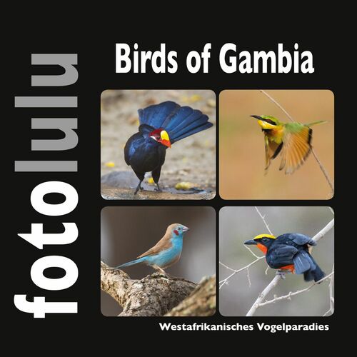 Birds of Gambia