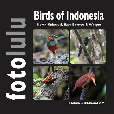 Birds of Indonesien