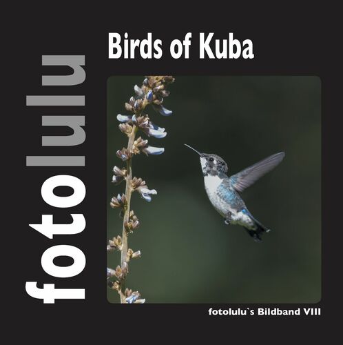 Birds of Kuba