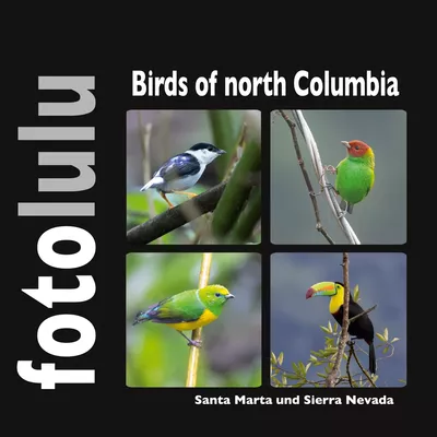 Birds of north Columbia