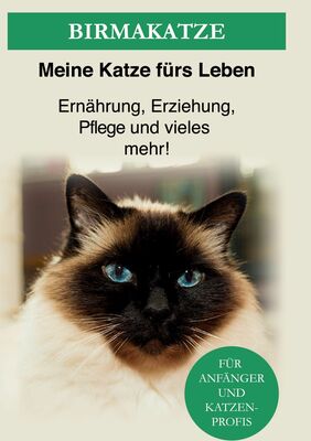 Birma Katze