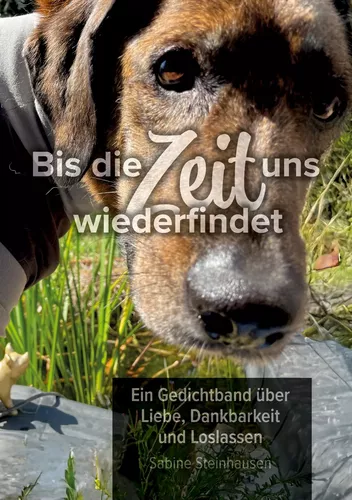 Bis die Zeit uns wiederfindet