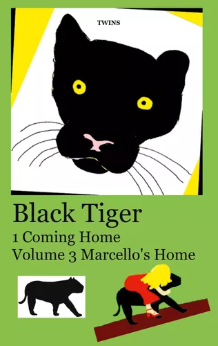 Black Tiger 1 Coming Home