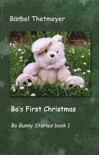 Bo's First Christmas