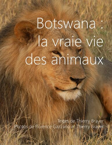 Botswana : la vraie vie des animaux