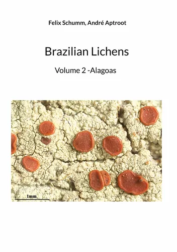 Brazilian Lichens