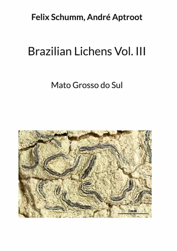 Brazilian Lichens Vol. III