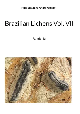 Brazilian Lichens Vol. VII