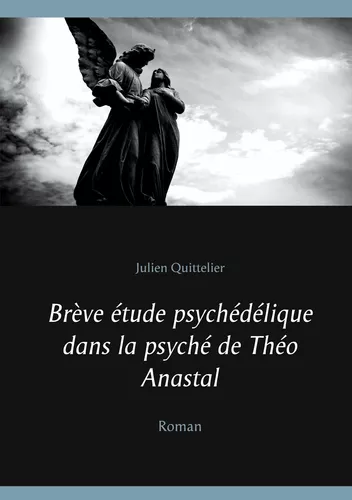 Brève étude psychédélique dans la psyché de Théo Anastal