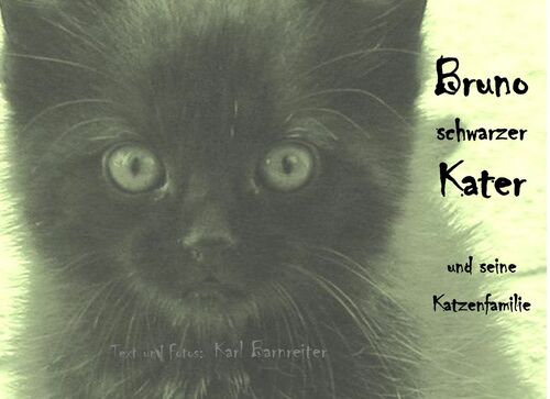 Bruno schwarzer Kater