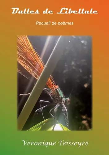 Bulles de libellule