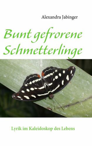 Bunt gefrorene Schmetterlinge