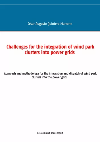 Challenges for the integration of wind park clusters into power grids