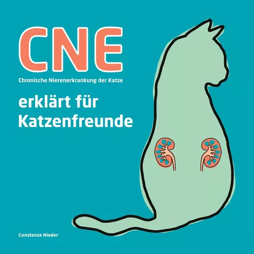 CNE Chronische Nierenerkrankung der Katze