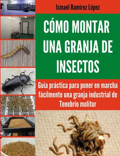 Cómo montar una granja de insectos