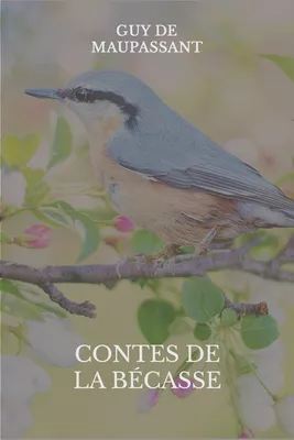 Contes de la bécasse