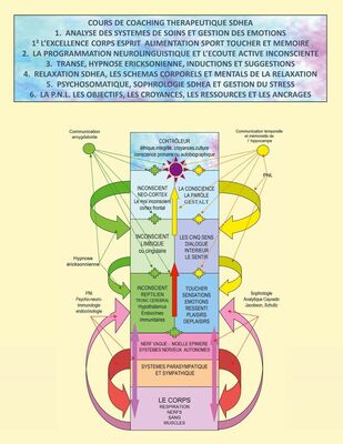 Cours de coaching thérapeutique SDHEA
