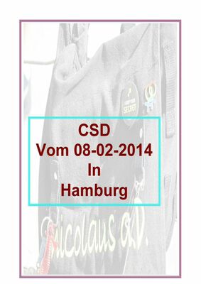 CSD 02.08.2014 Hamburg