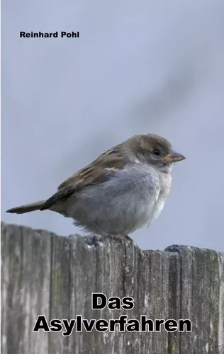 Das Asylverfahren