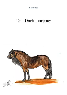 Das Dartmoorpony